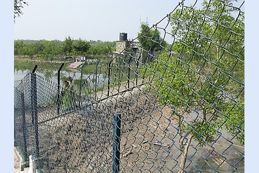 Viaggio in India 2008 - Sunderbans